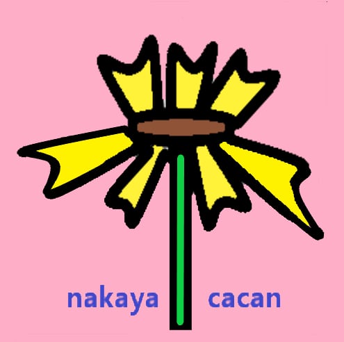 Nakayacacan