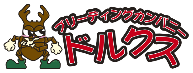 ブリーディングカンパニードルクス