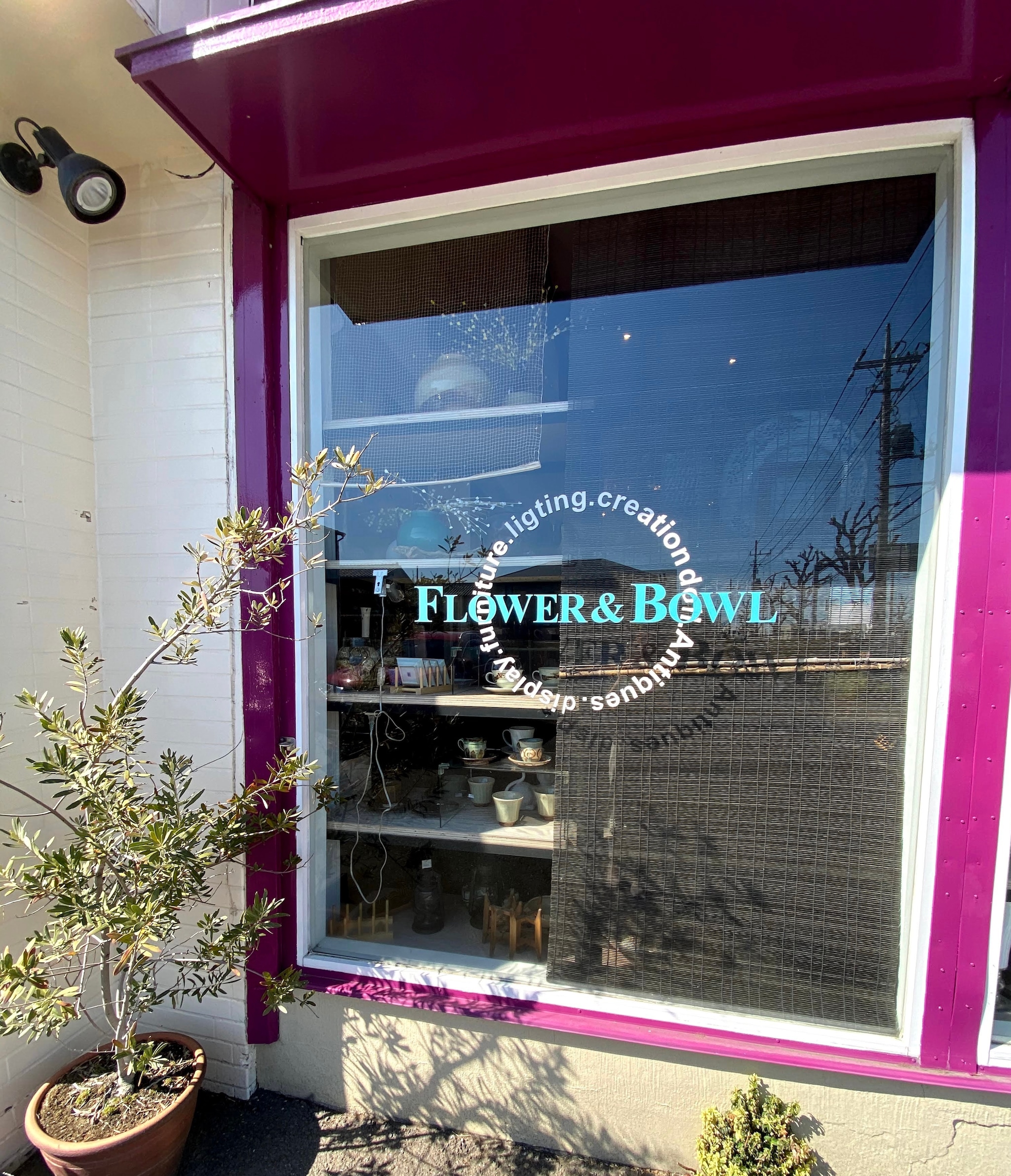 FLOWER & BOWL