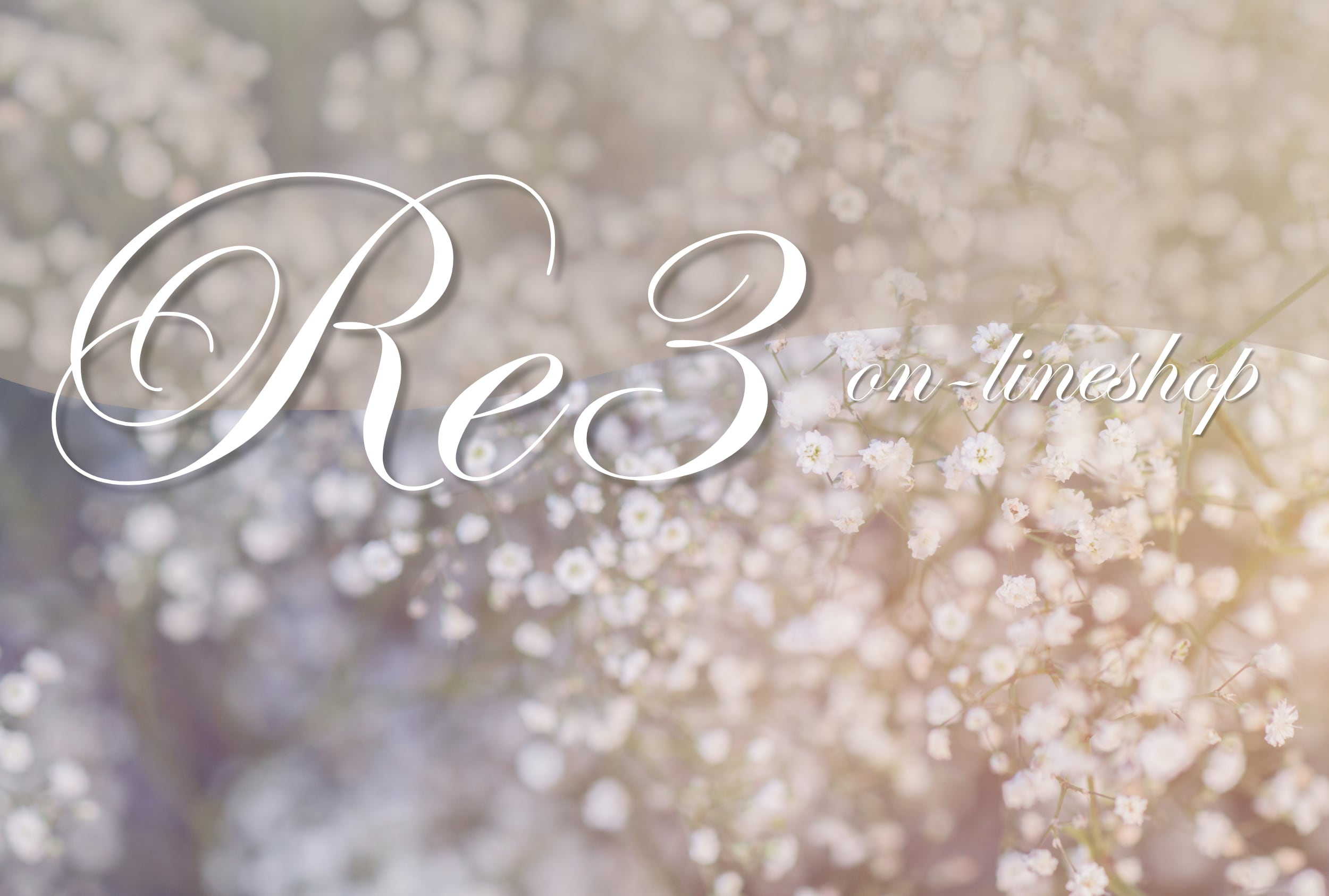 Re3