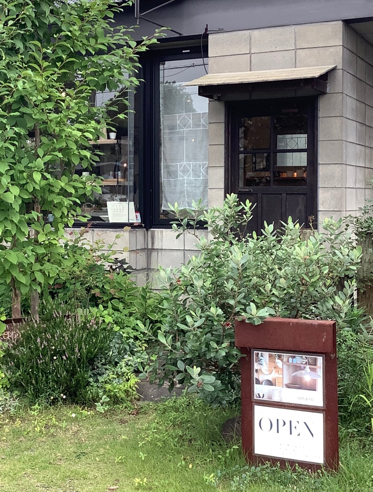 サクラ　黒漆彫目盆　♡木工作家　村上圭一さん【新品・未使用】 村上圭一 | sorairo