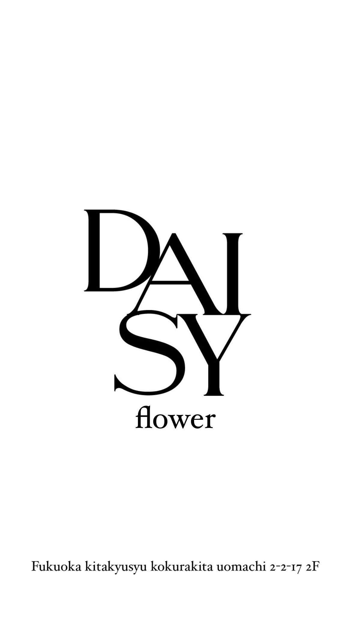 studiodaisy