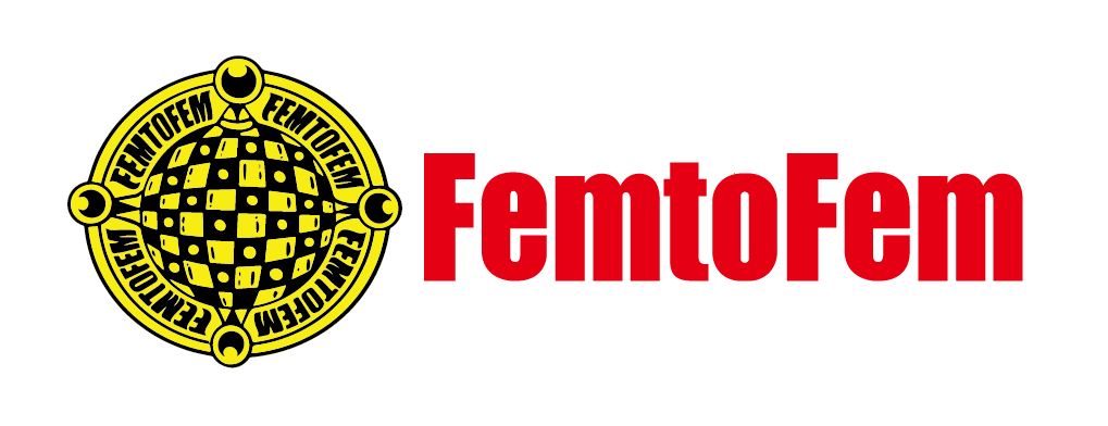 FemtoFem
