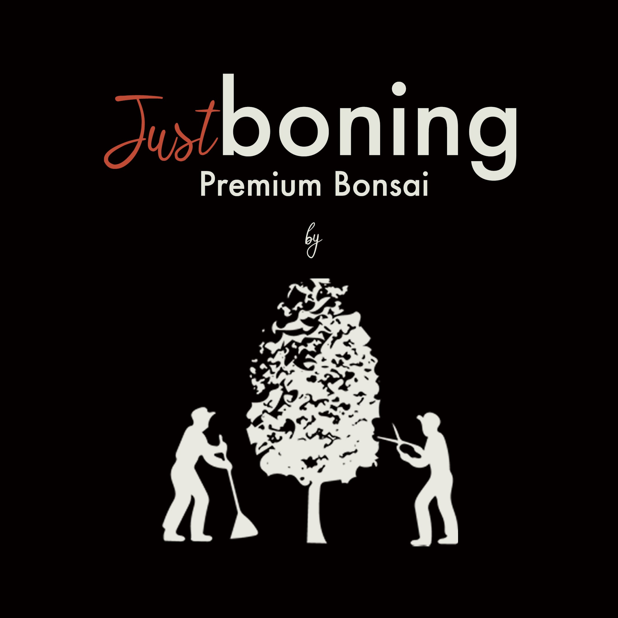 Just boning Premium Bonsai by Season's Green NIWATEN