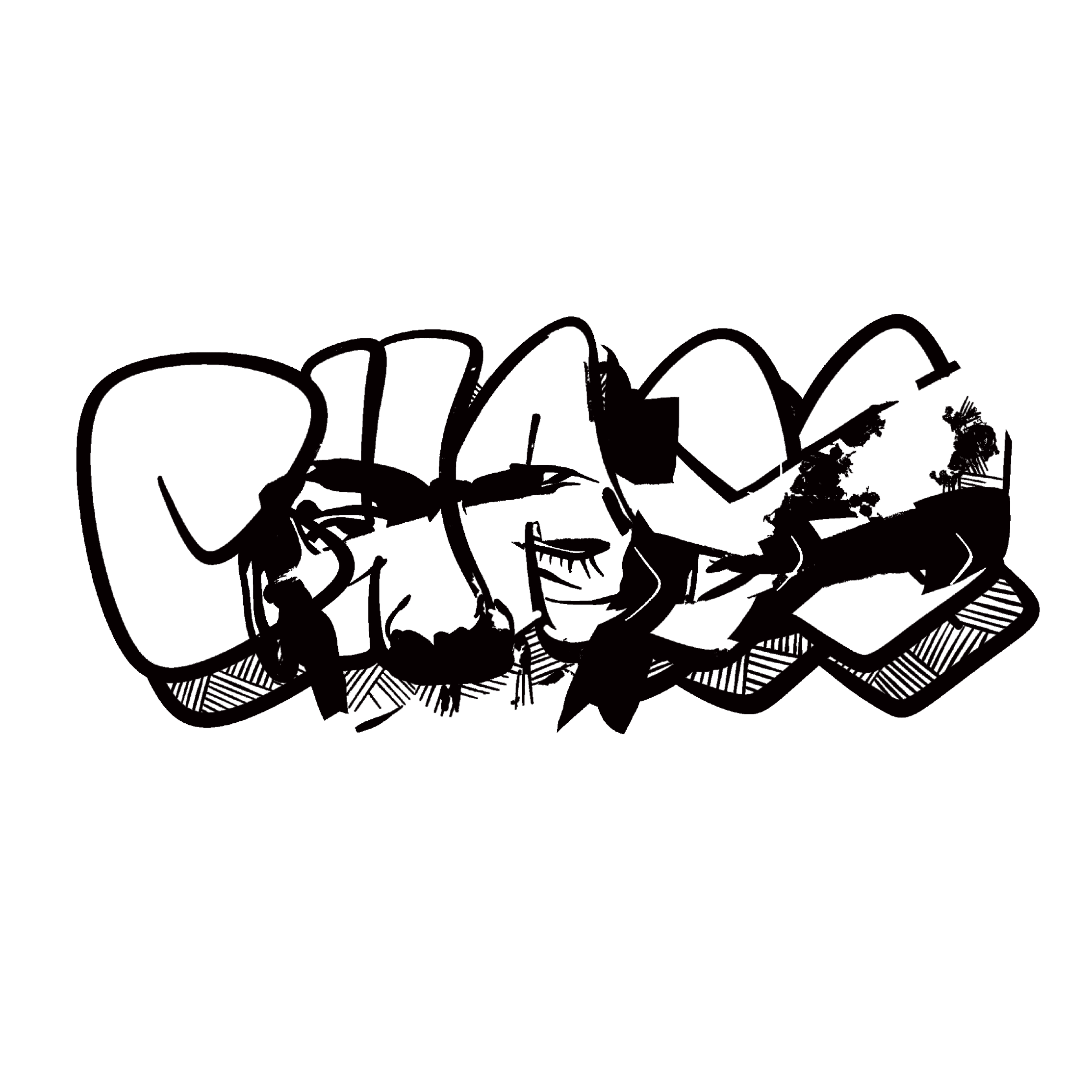 CHASE SKATEBOARDS