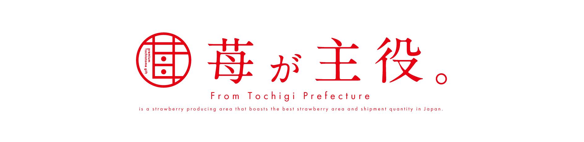 苺が主役 powered by BASE