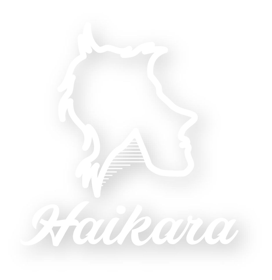 haikara092