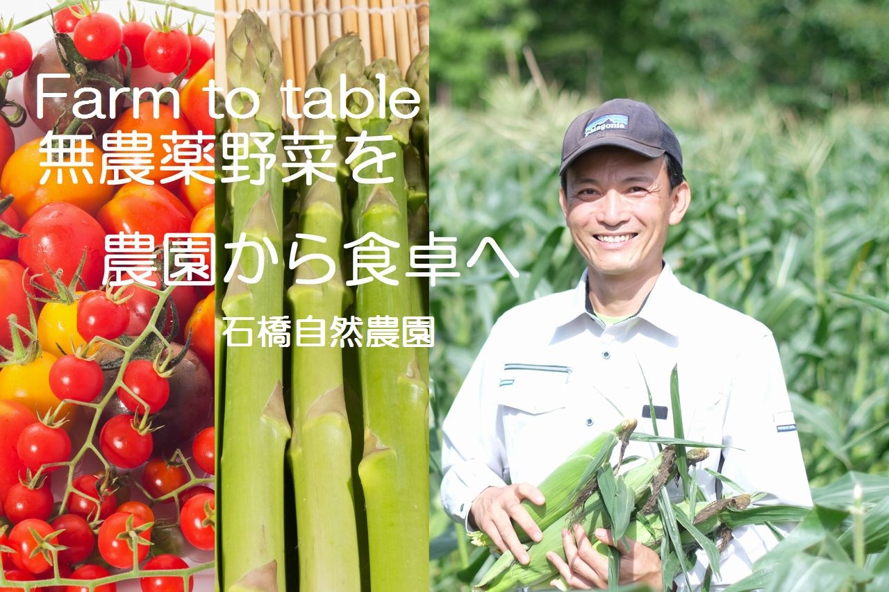 石橋自然農園  ishibashi organic farm