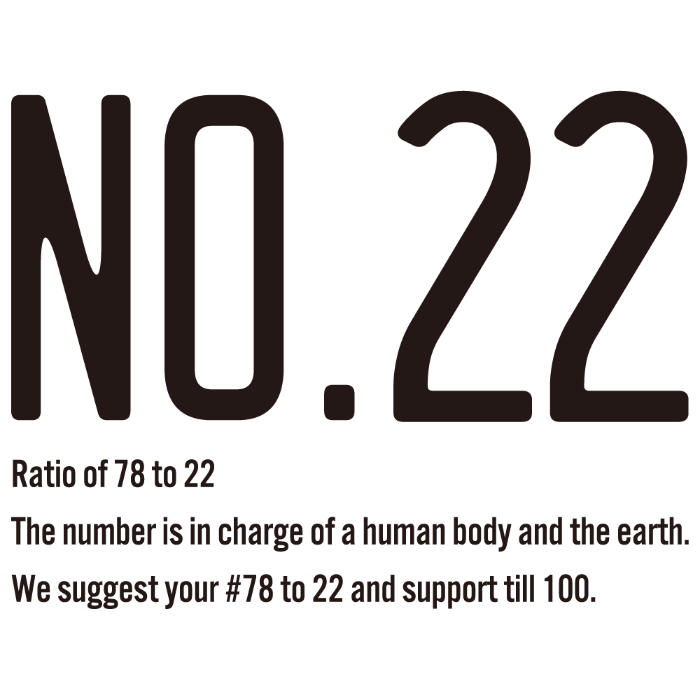NO.22