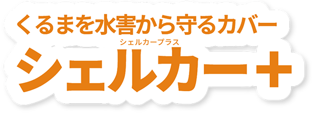 シェルカー＋