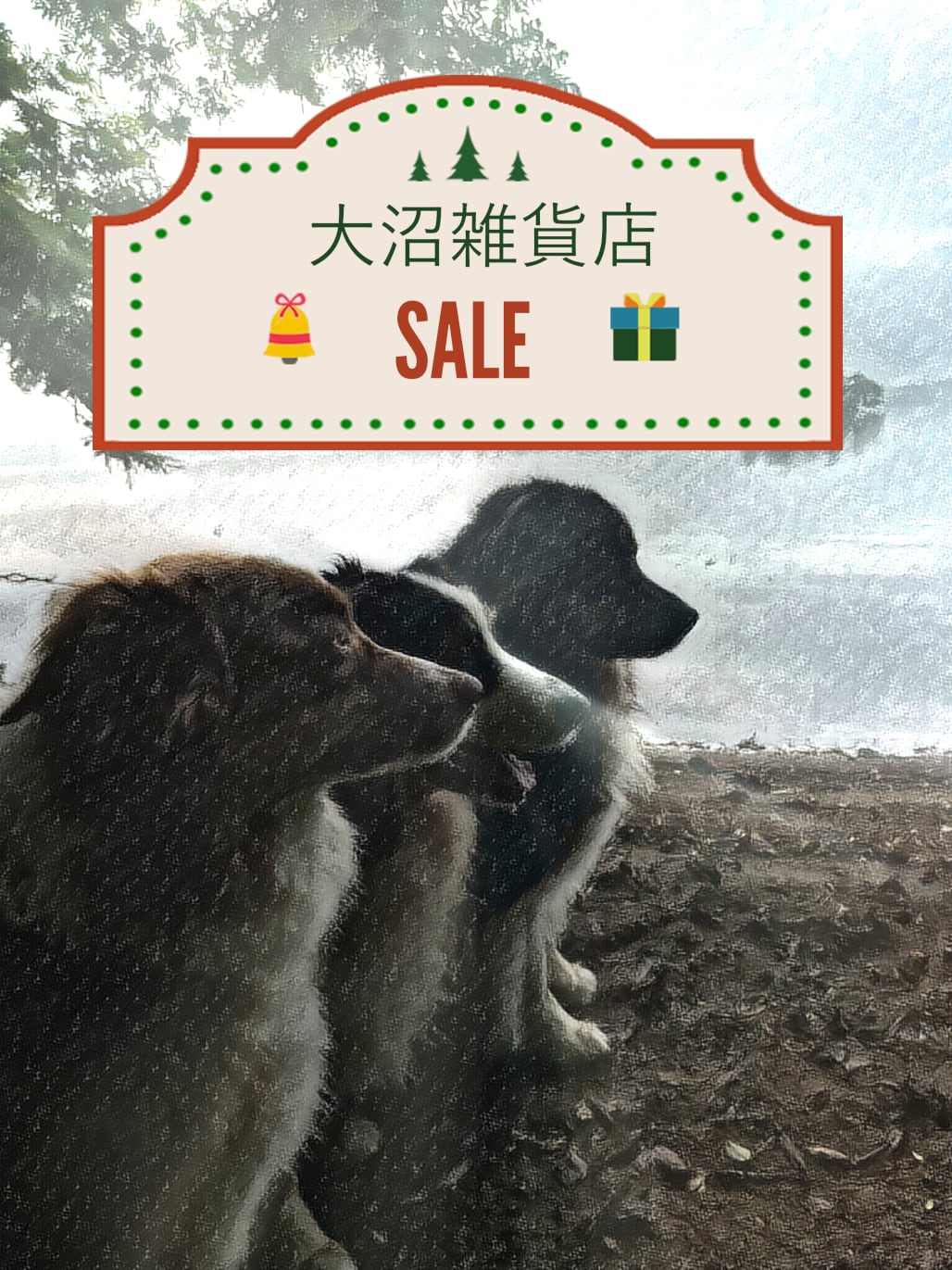 大沼雑貨店