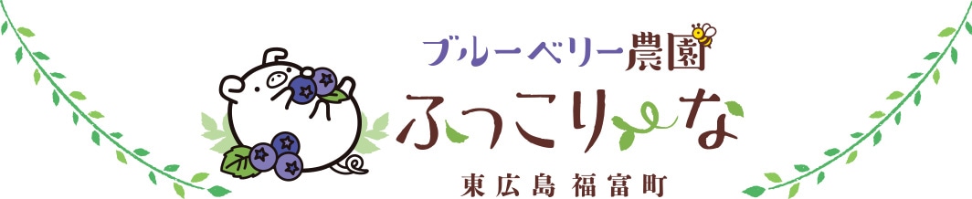 東広島ブルーベリー農園ふっこりーな