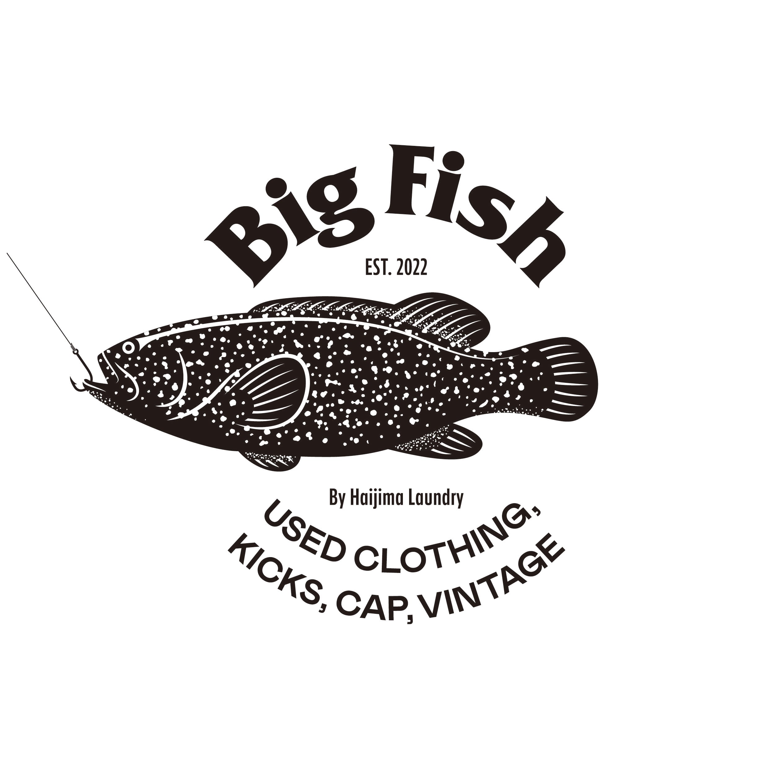 BigFish