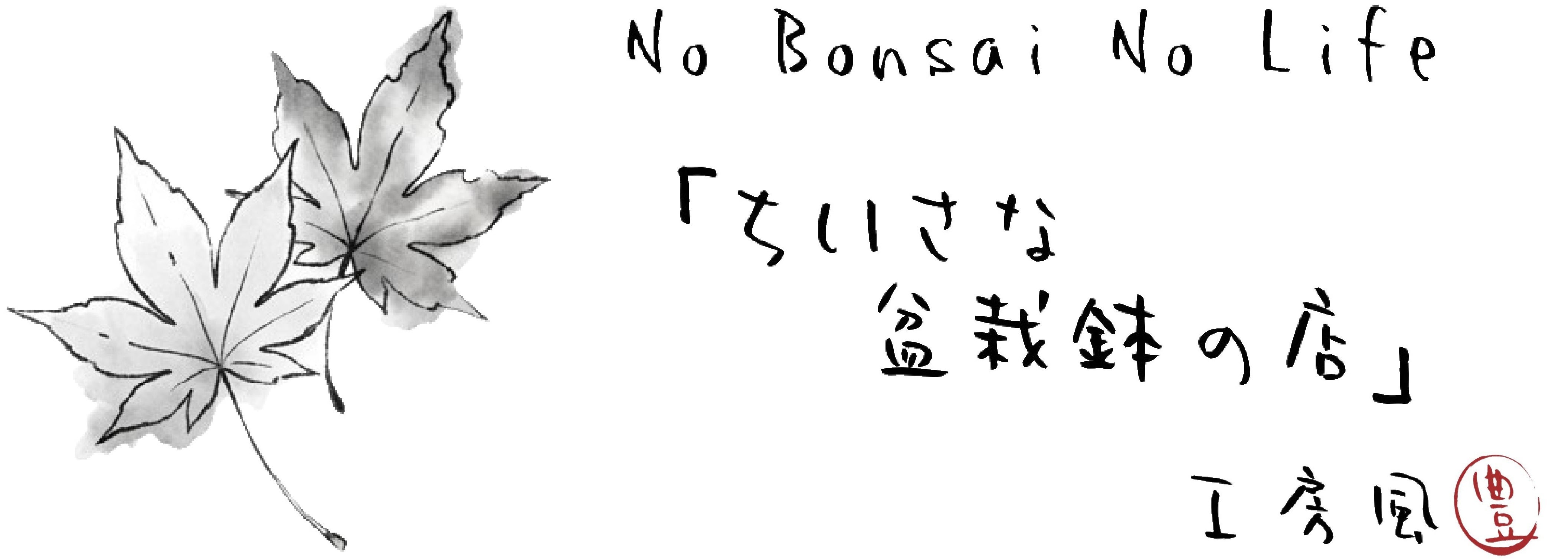 ちいさな盆栽鉢の店