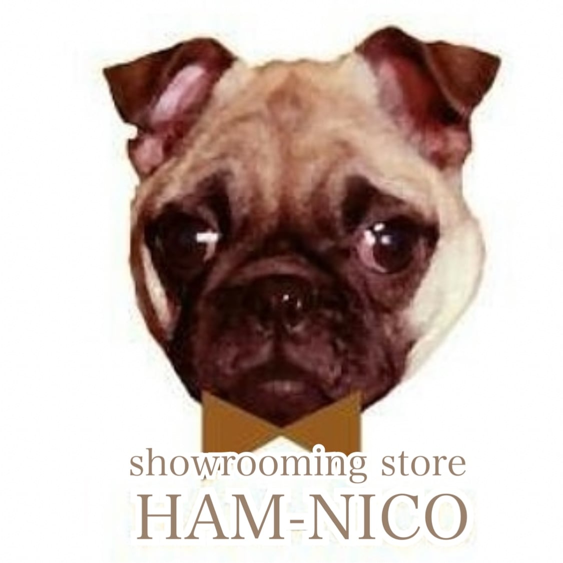 HAM-NICO