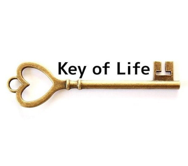 Key of Life（キーオブライフ）
