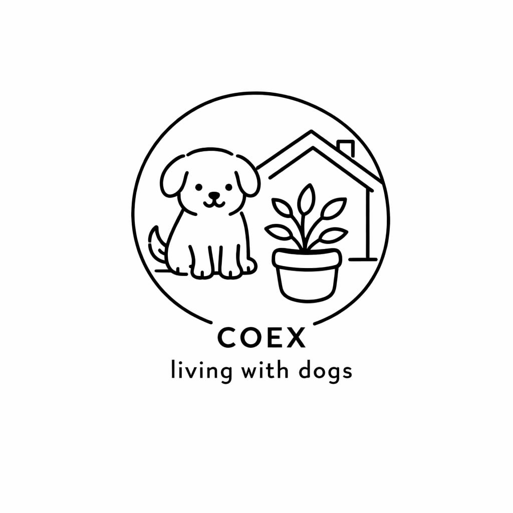 ALL ITEM | COEX