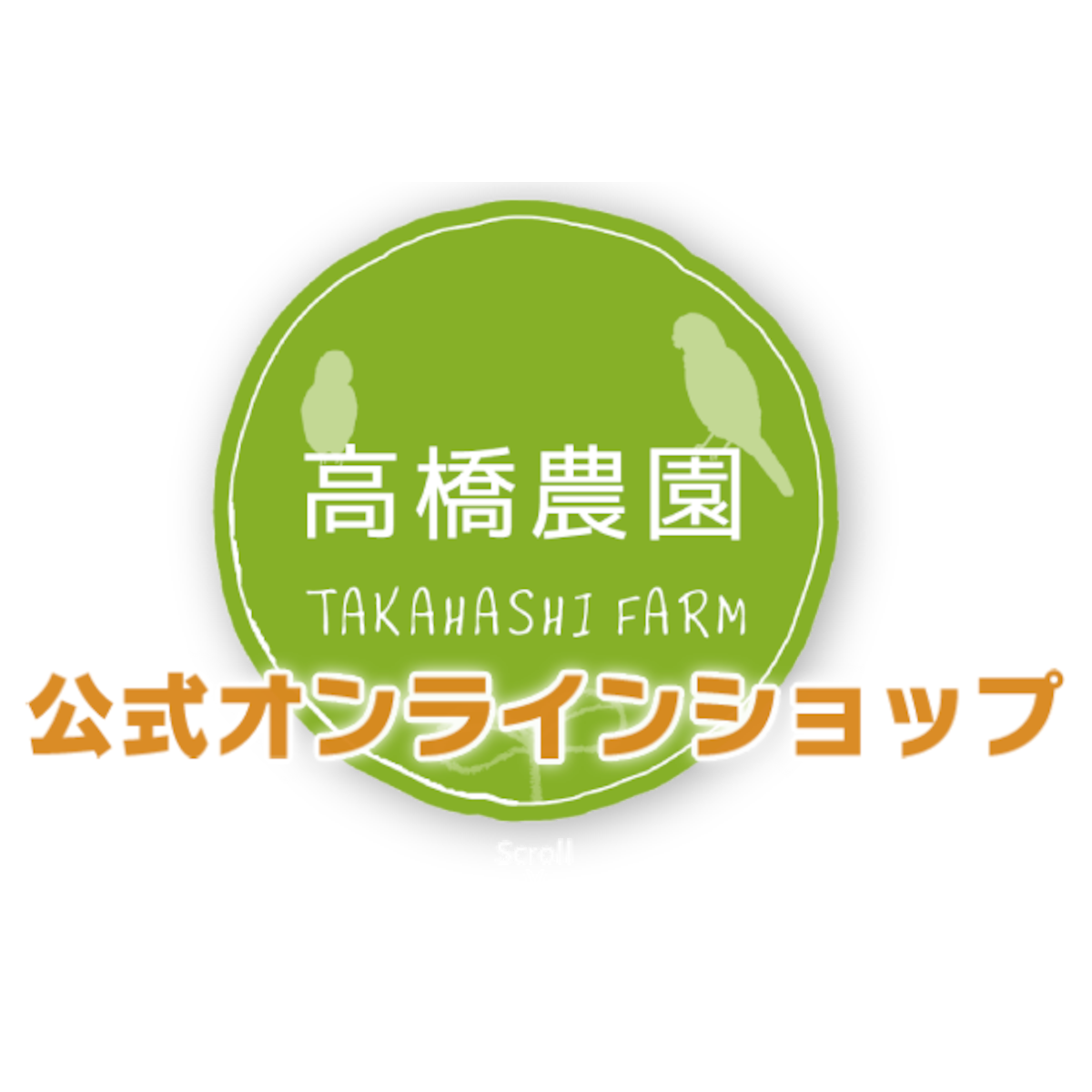 Red Heart 大人気 希少 Agave Sharkskin 農園直送 Atsui Hanbai フラワー ガーデン Watanegypt Tv Red Heart 大人気 希少 Agave Sharkskin 農園直送 Atsui Hanbai フラワー ガーデン Watanegypt Tv