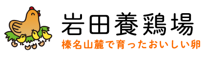 岩田のオンラインストア