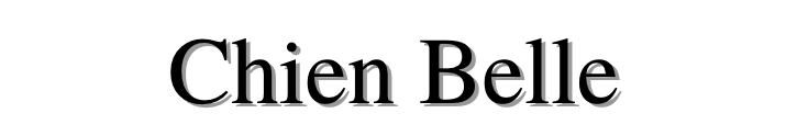 Chien Belles