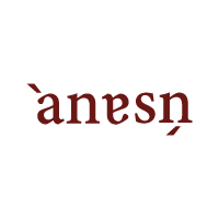 anasn - アナスン -