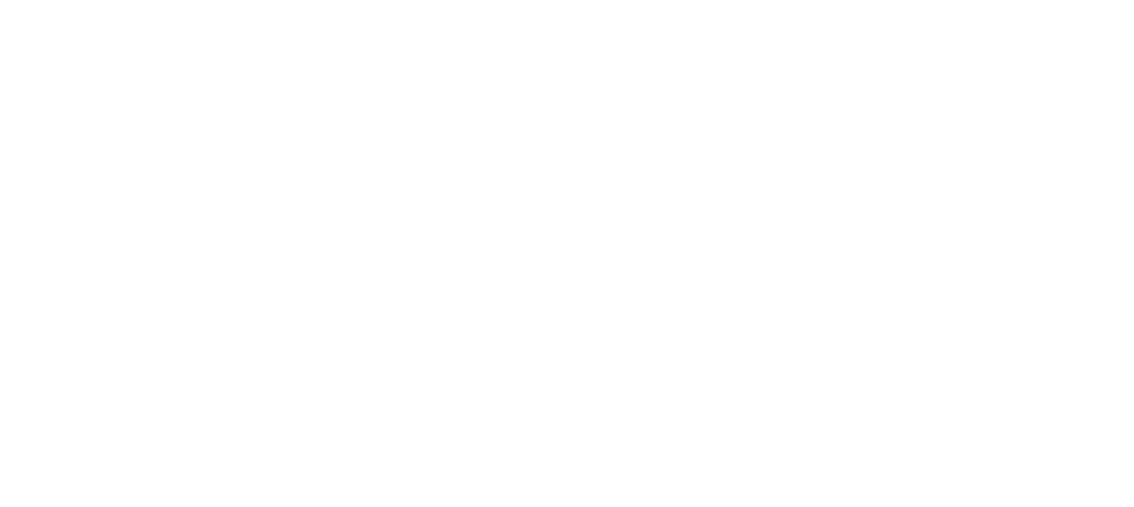 エルテレサ ELLE TERESA ワンマンショー ペンライト ELLE TERESA STORE