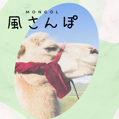 モンゴル 風さんぽ