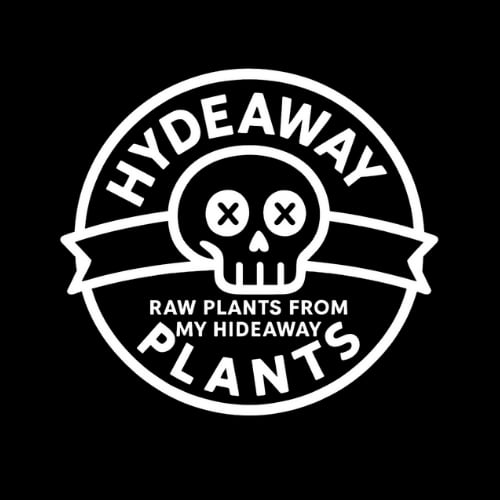 HYDEAWAY PLANTS