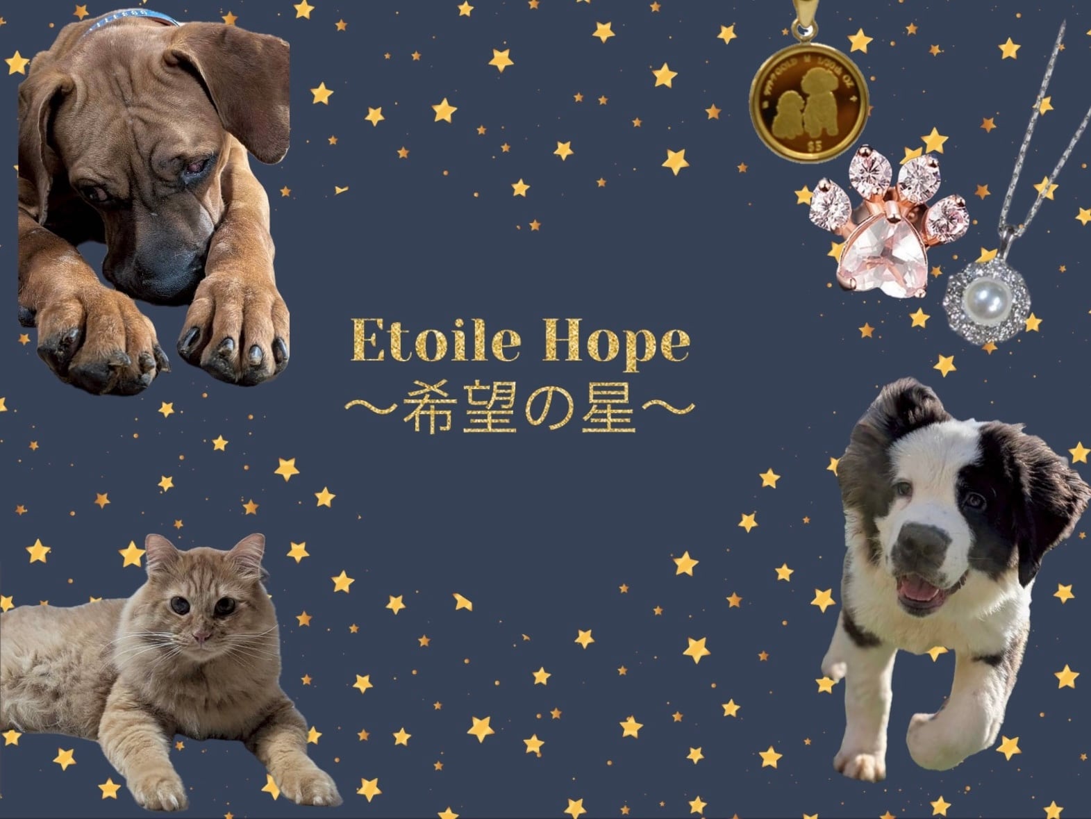 Etoile Hope〜希望の星〜