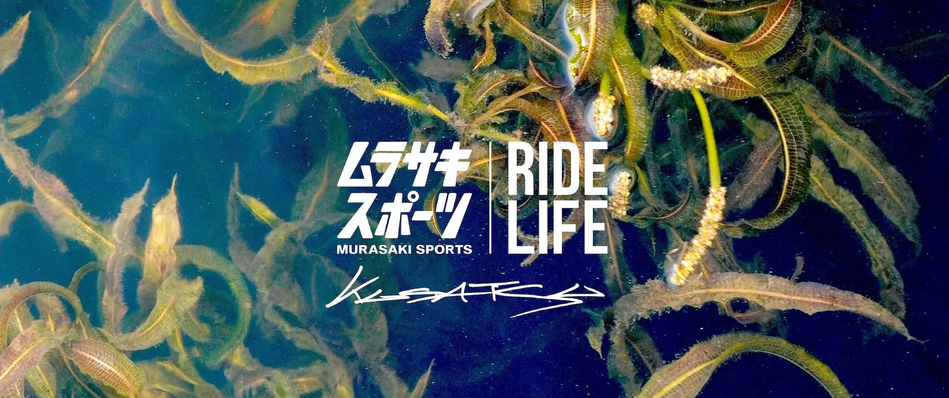 MURASAKISPORTS KUSATSU