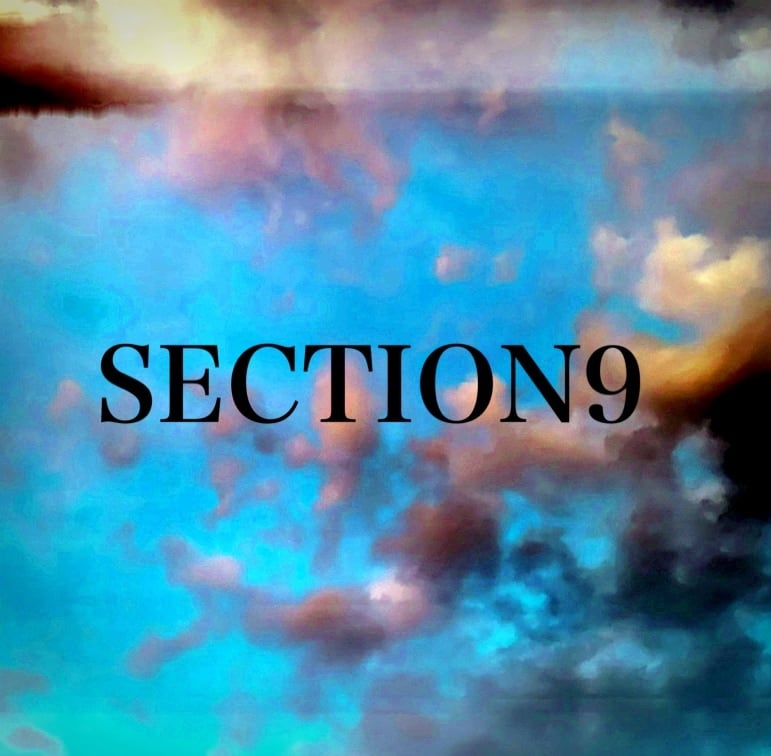 section.9