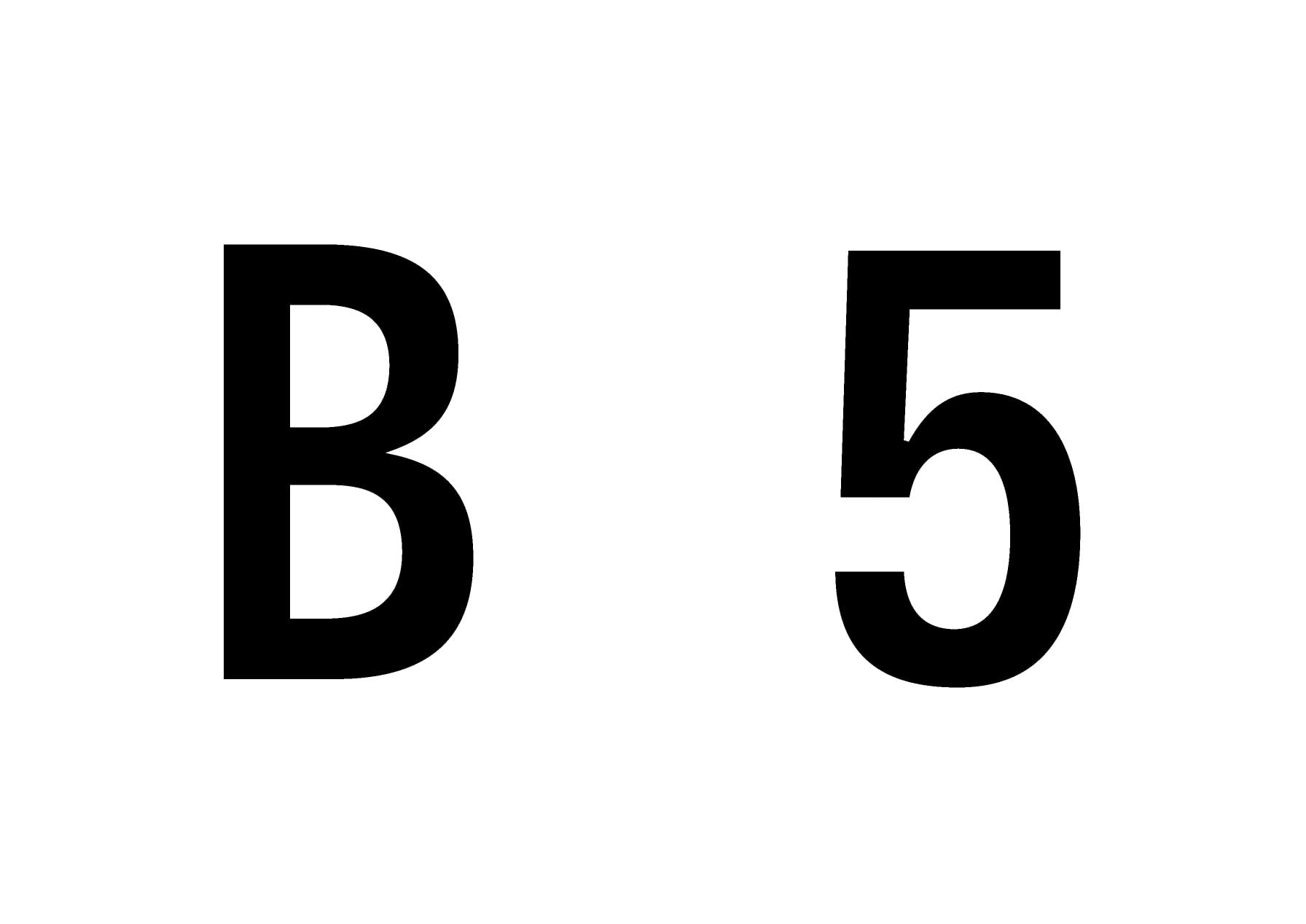 B5 PROJECT