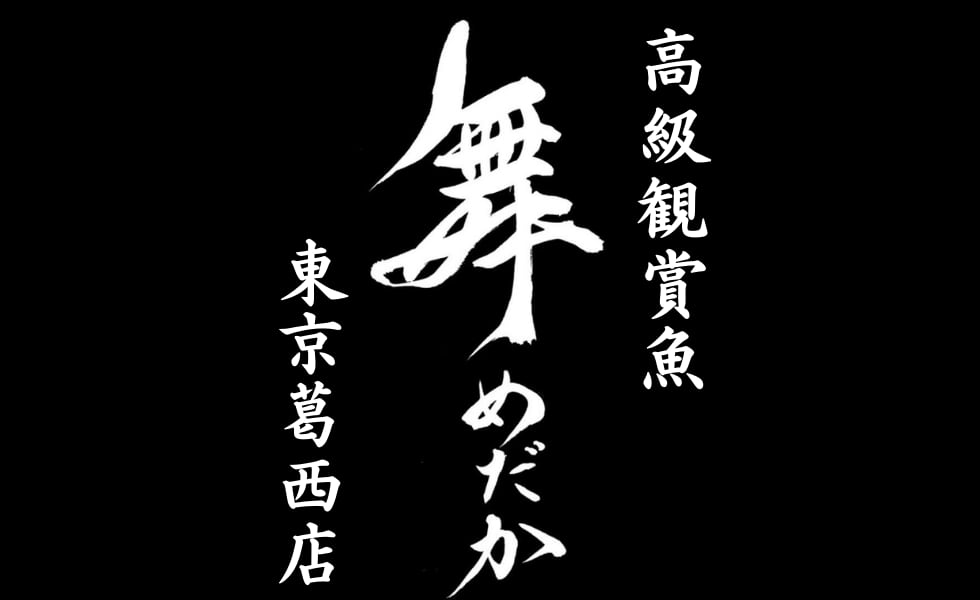 舞めだか東京葛西店 オンラインショップ