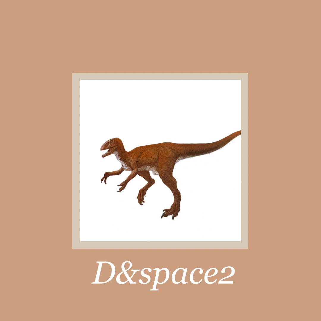 D&Space 2