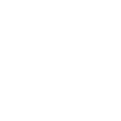 MOON NESTORE