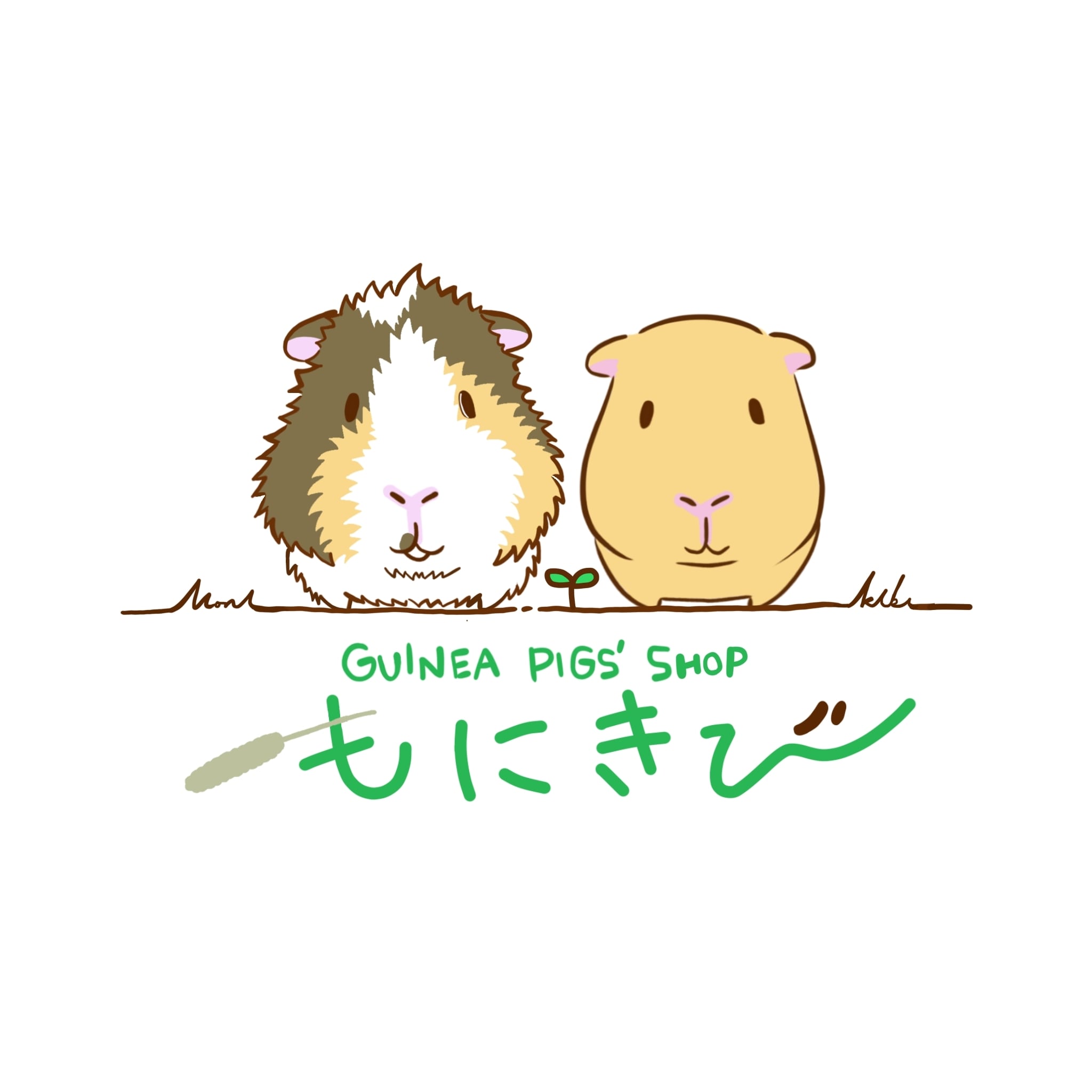 GUINEA PIGS' SHOP もにきび