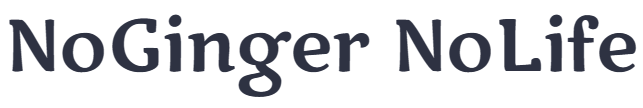 No Ginger No Life