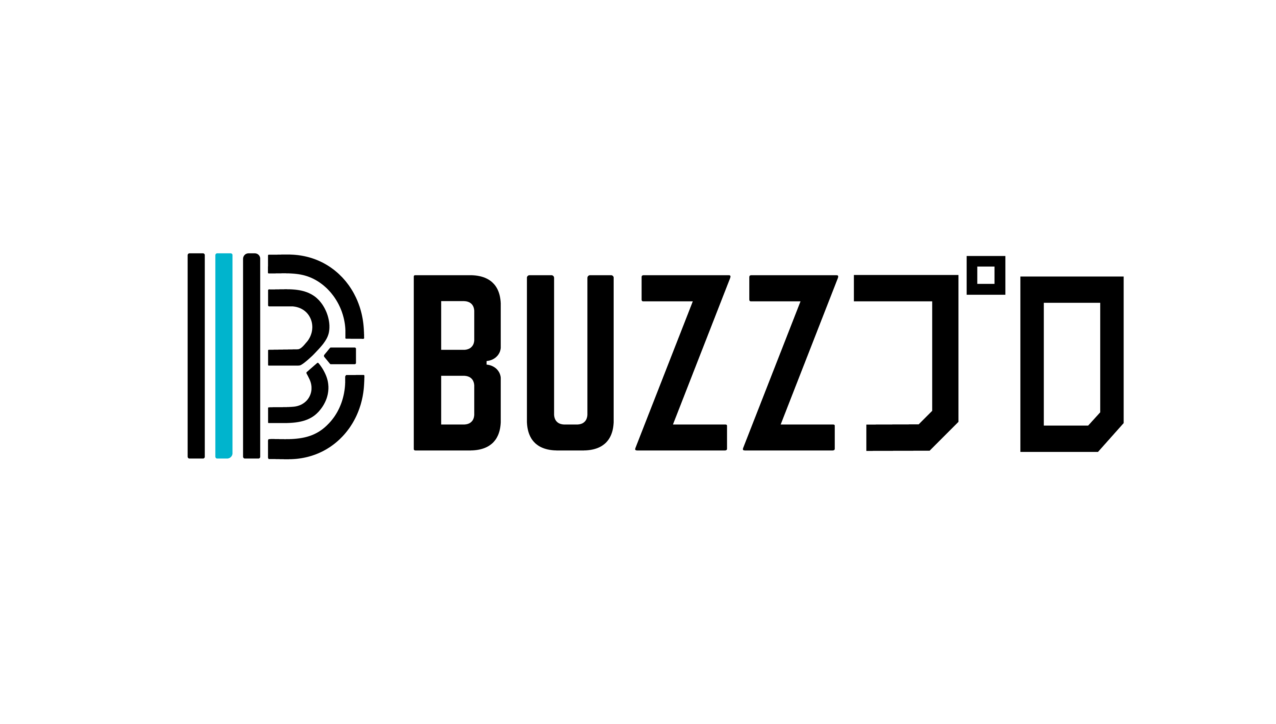 BUZZ PROJECT 