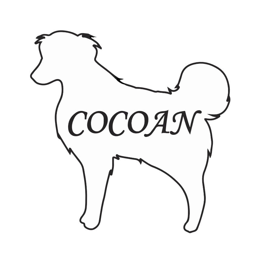 cocoan leather
