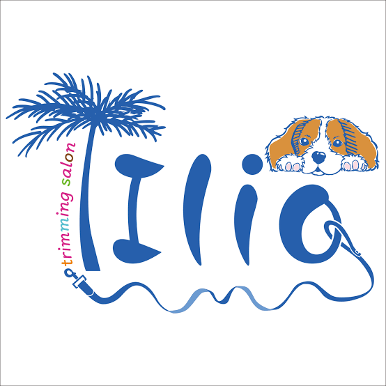 トリミングサロンilio野方店