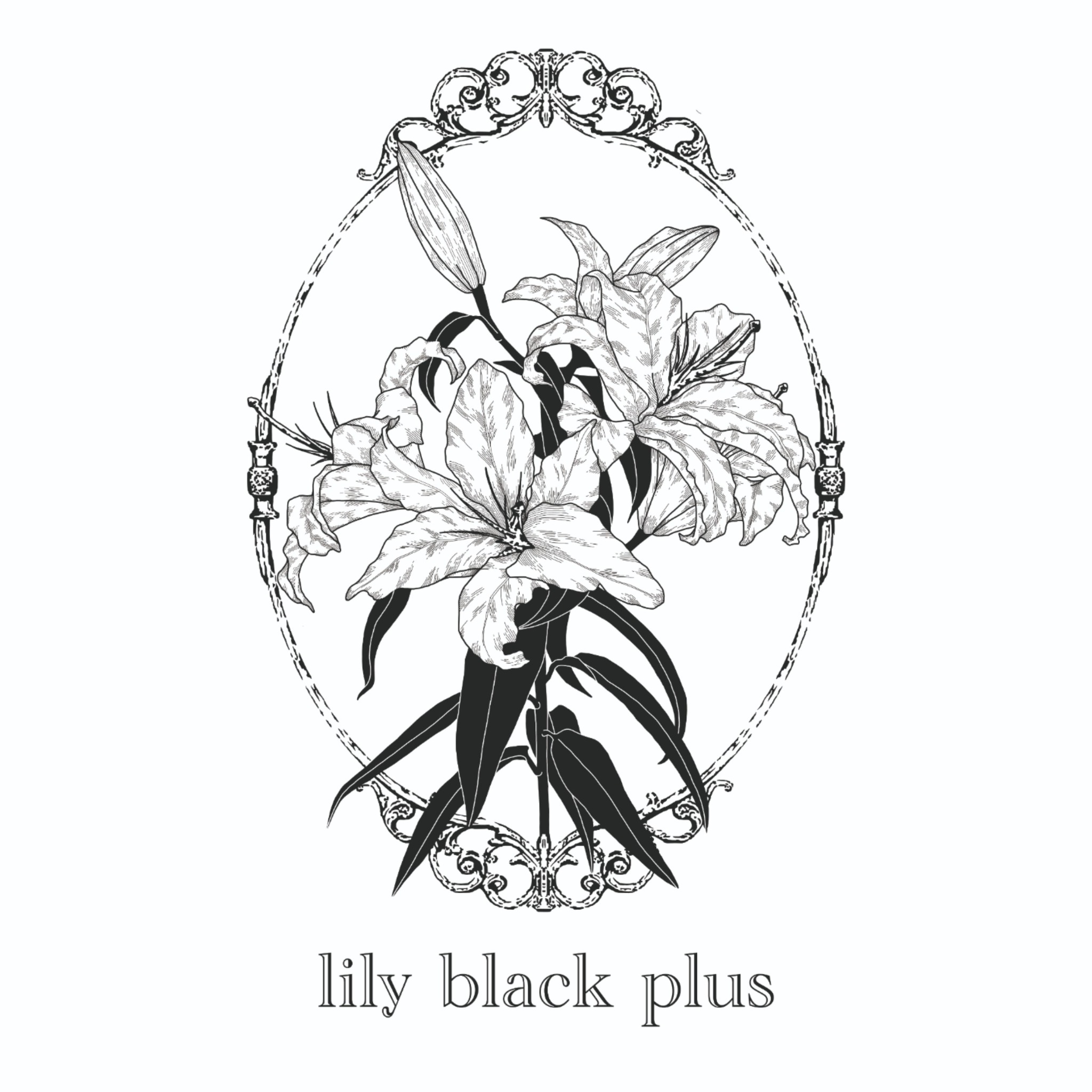 lilyblack＋