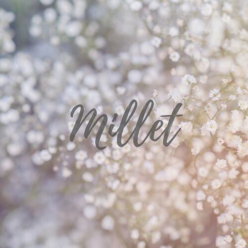 millet