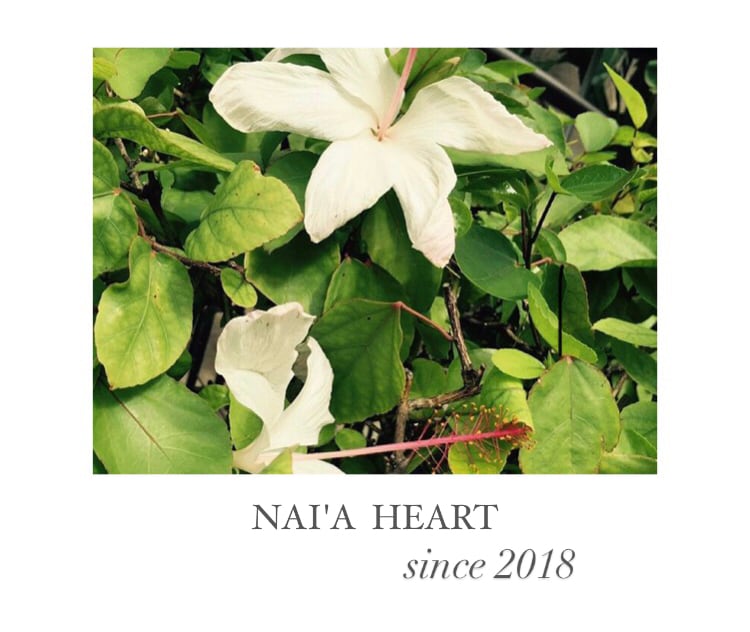 NAI'A  HEART