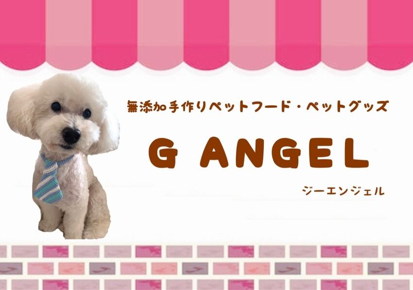 G ANGEL