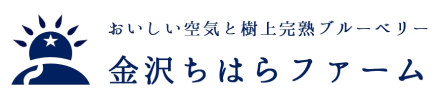 【樹上完熟ブルーベリー】金沢ちはらファーム