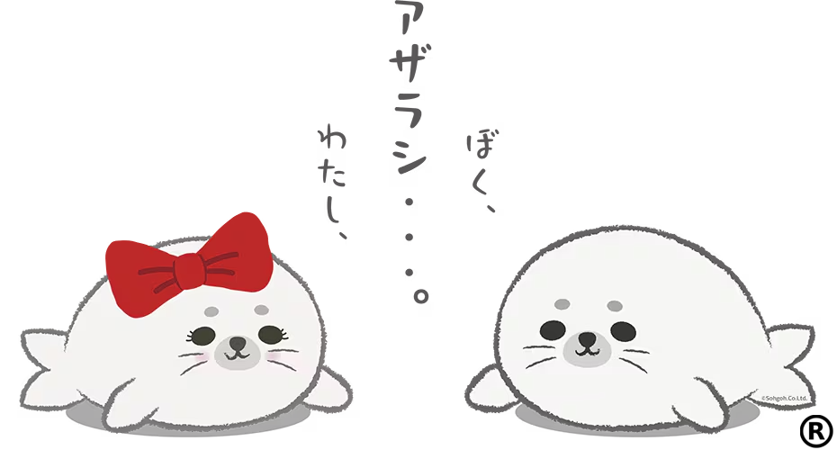 bokuazarashi