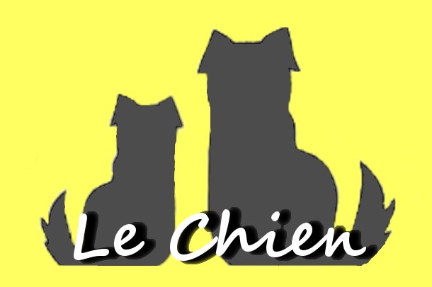 Le Chien【ドッグウェア】