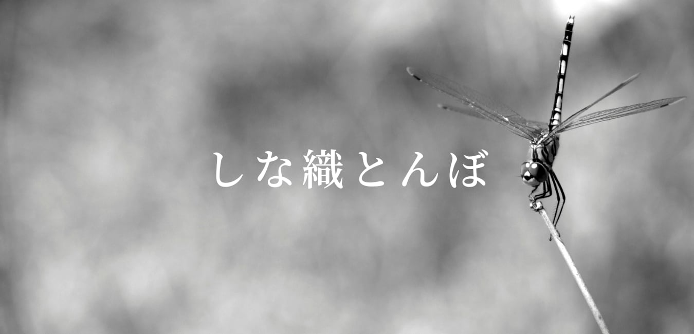 しな織とんぼ