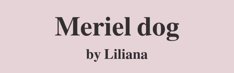 Meriel dog by Liliana