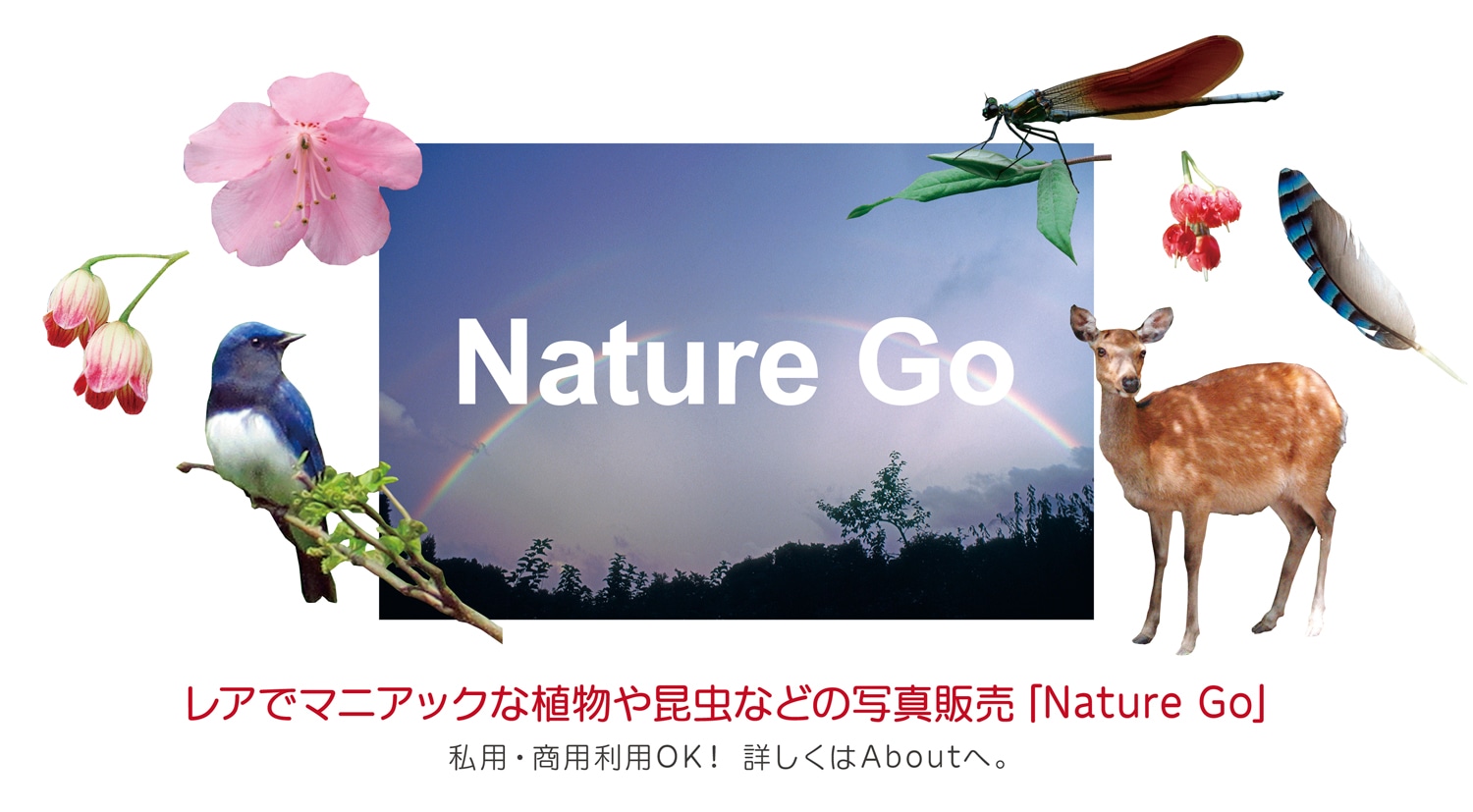 naturego